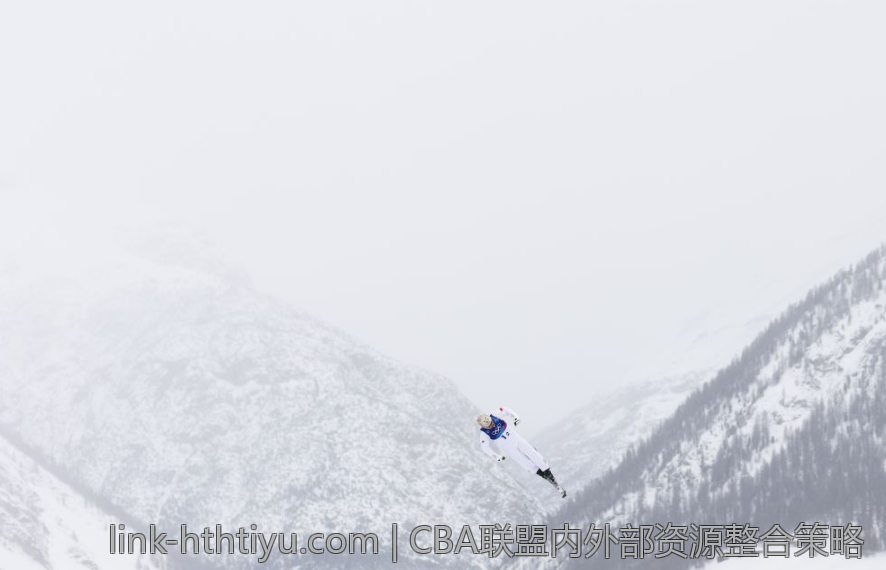 CBA联盟内外部资源整合策略
